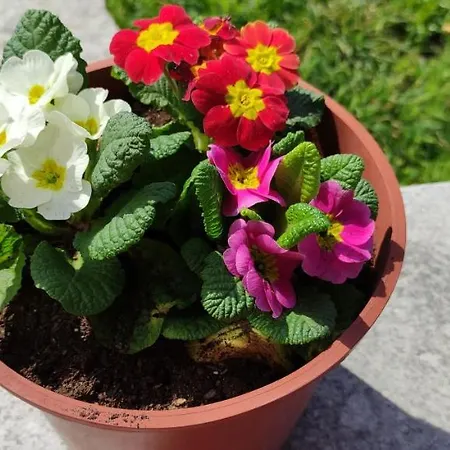 El Cobijo De Soar ¡casa Rural Completa! Holiday home