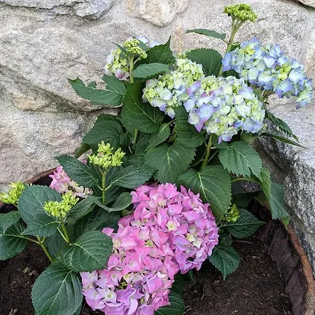 El Cobijo De Soar ¡casa Rural Completa! Vakantiehuis *